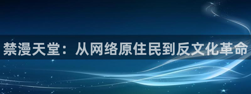 omofun网页版怎么没了：禁漫天堂：从网络原住民到反文化革命