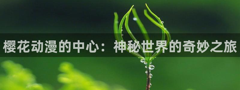 omofun怎么下载：樱花动漫的中心：神秘世界的奇妙之旅