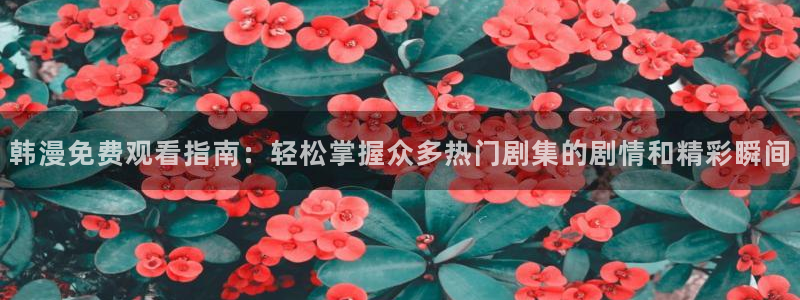 omofun.worko：韩漫免费观看指南：轻松掌握众多热门剧集的剧情和精彩瞬间