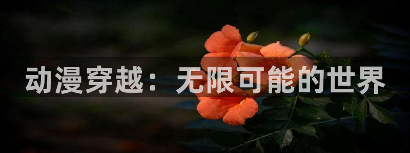 omofun动漫在线观看动漫最新版本更新：动漫穿越：无限可能的世界