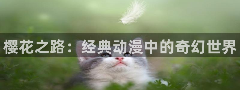 omofun缓存：樱花之路：经典动漫中的奇幻世界