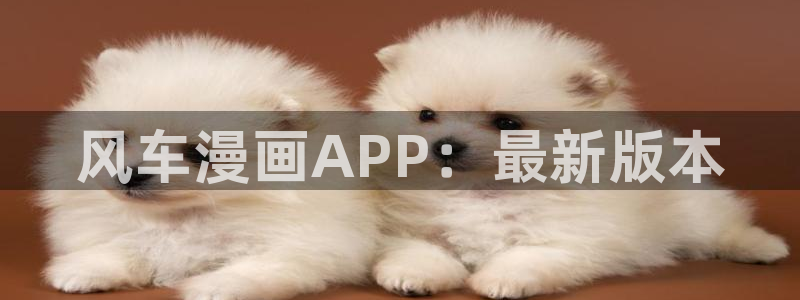 omofun一个：风车漫画APP：最新版本