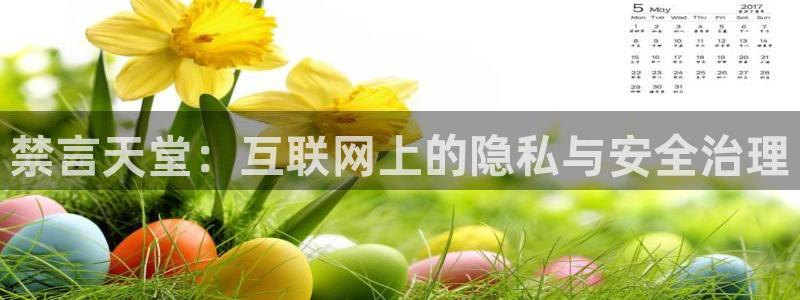 omofun注册：禁言天堂：互联网上的隐私与安全治理