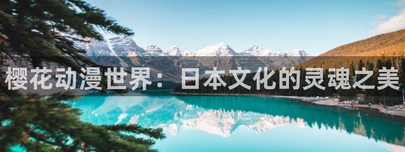 omofun全新版官网入口：樱花动漫世界：日本文化的灵魂之美