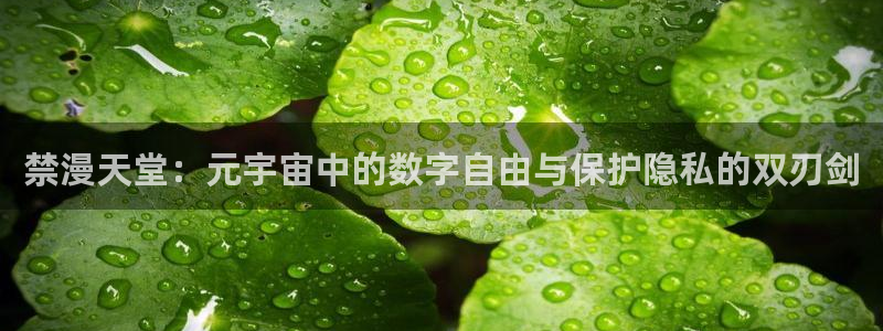 里番动漫下载入口