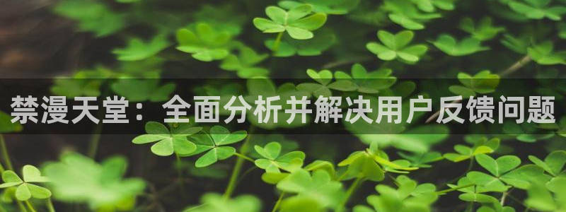 omofun动漫网官网：禁漫天堂：全面分析并解决用户反馈问题