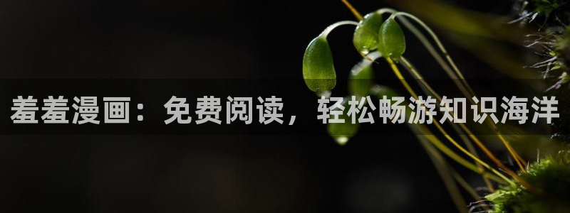 动漫共和国omofun：羞羞漫画：免费阅读，轻松畅游知识海洋