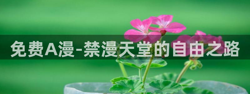 omofun动漫动漫：免费A漫-禁漫天堂的自由之路