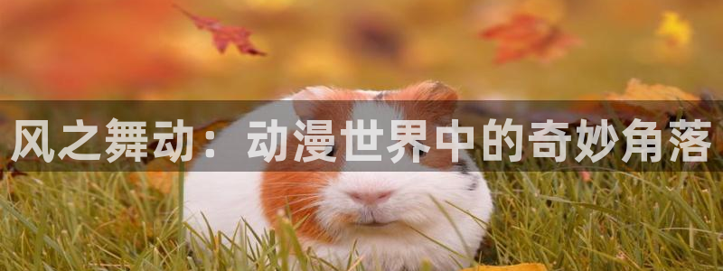 omofun.top：风之舞动：动漫世界中的奇妙角落
